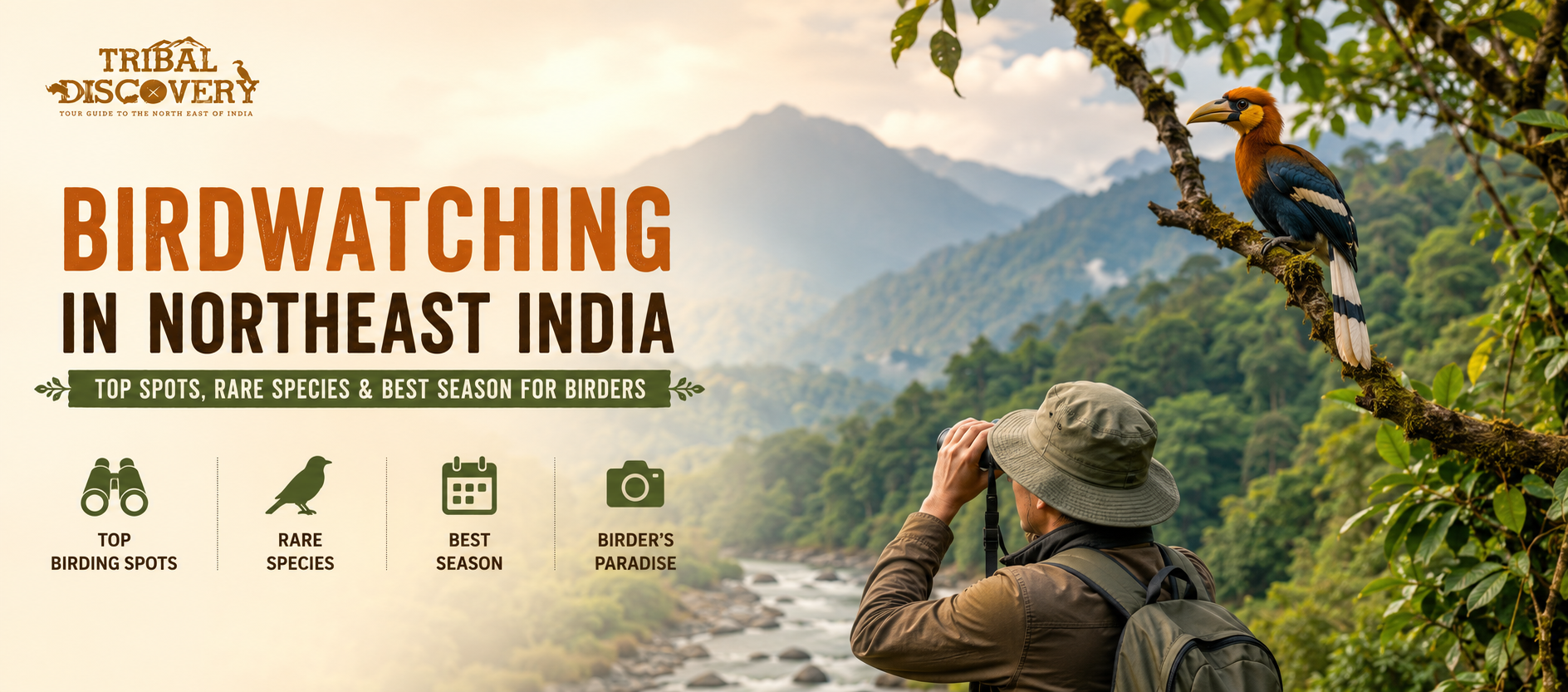 Birdwatching in Northeast India: Top Spots, Rare Species & Best Season for Birders